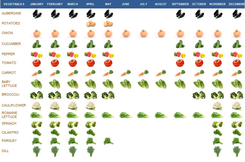 Grupo Puentesol > Products > Vegetables